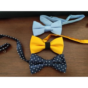 Papillon fantasia 